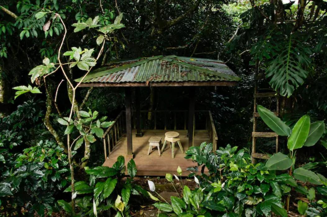 Appartement Coffee Garden Ranch Costa Rica à Concepcion  Extérieur photo