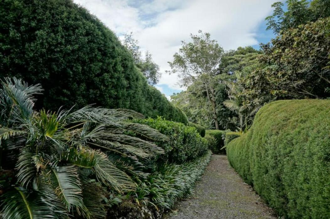 Appartement Coffee Garden Ranch Costa Rica à Concepcion  Extérieur photo